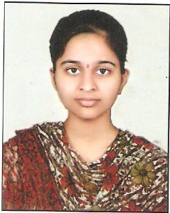 2013 T Sreeja